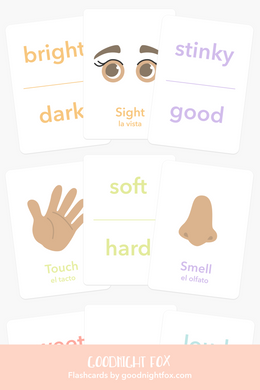 5 Senses Flashcards