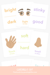 Learning Flashcards - Fall Release Bundle