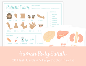 Human Body Anatomy Bundle
