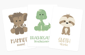 Dinosaur Flashcards