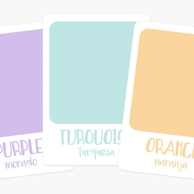 Color Sorting Flashcards