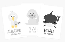 Load image into Gallery viewer, Arctic Animals Flashcards
