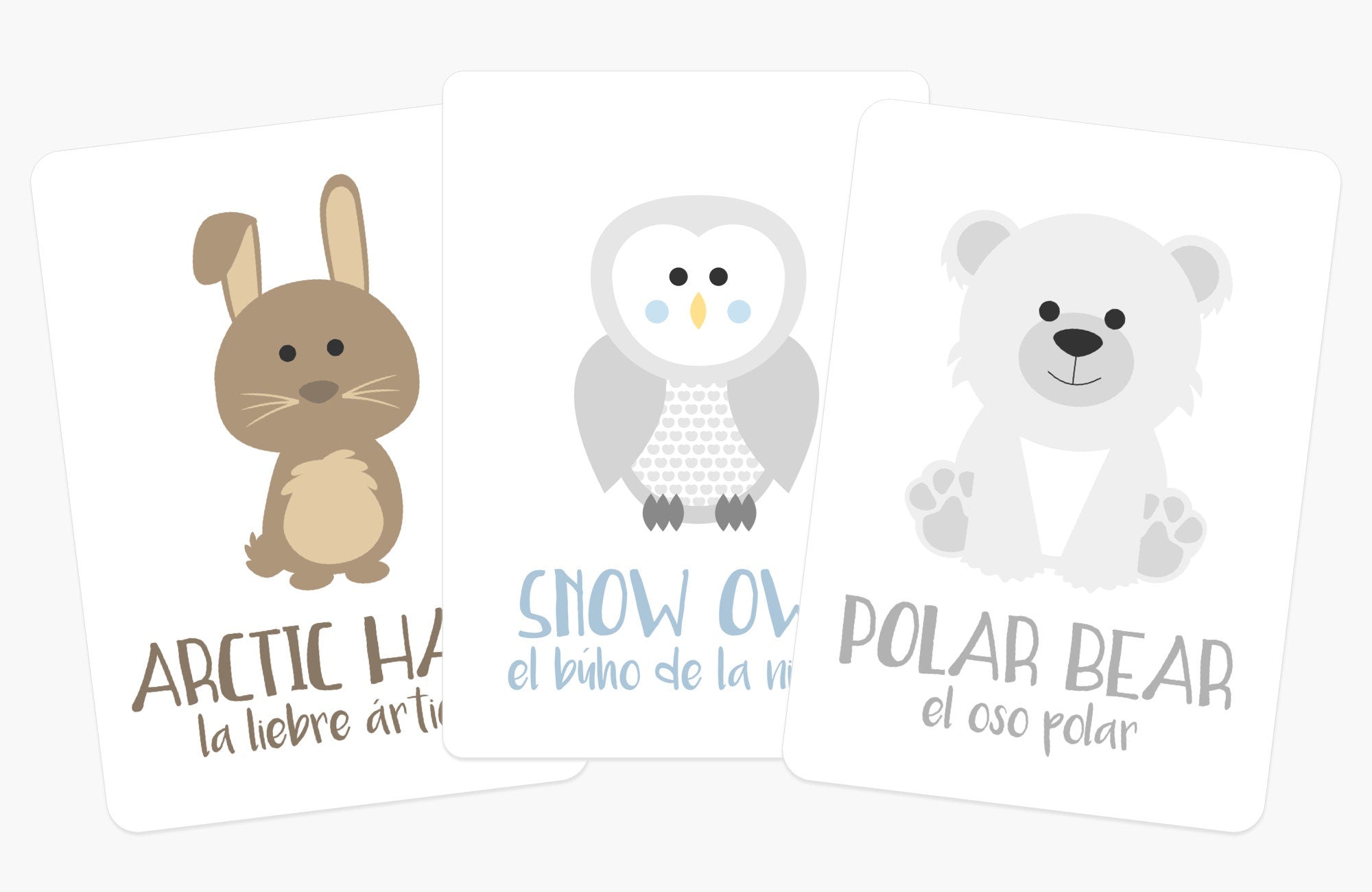 Arctic Animals  Polar animals preschool, Arctic animals preschool, Animal  flashcards