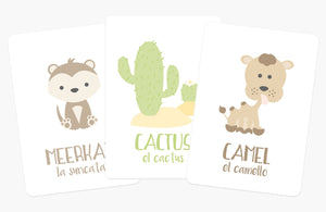 Desert Animal Flashcards