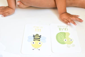 Party Favor Flashcard Bundle