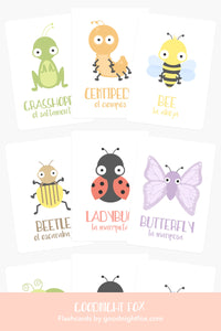 Bugs Flashcards