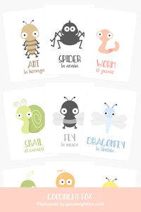 Bugs Flashcards