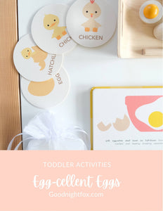 Lifecycle of a Chicken Card Set