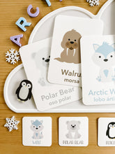 Load image into Gallery viewer, Arctic Acrylic Sensory Kit