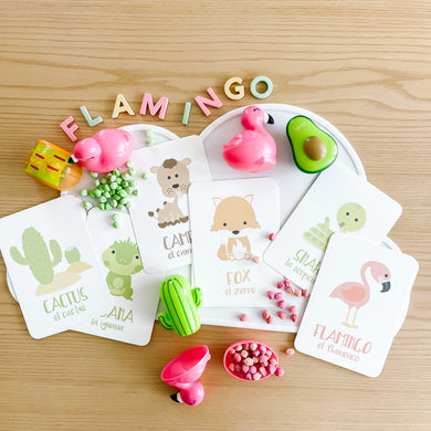 Flamingo Cactus Sensory Kit