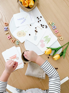 Flower Garden Flashcards