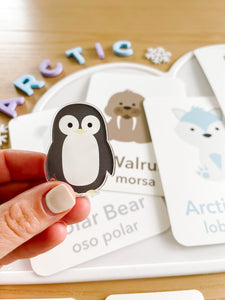 Arctic Acrylic Sensory Kit
