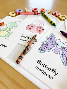 Coloring Cards Sensory Kit