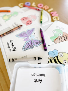 Coloring Cards Sensory Kit