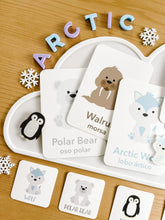 Load image into Gallery viewer, Arctic Acrylic Sensory Kit
