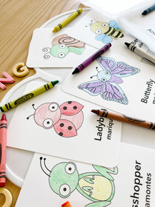 Coloring Cards Sensory Kit