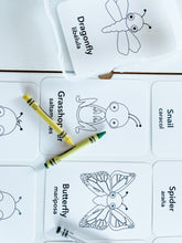 Load image into Gallery viewer, Coloring Cards Sensory Kit