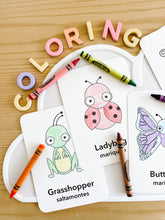 Load image into Gallery viewer, Coloring Cards Sensory Kit